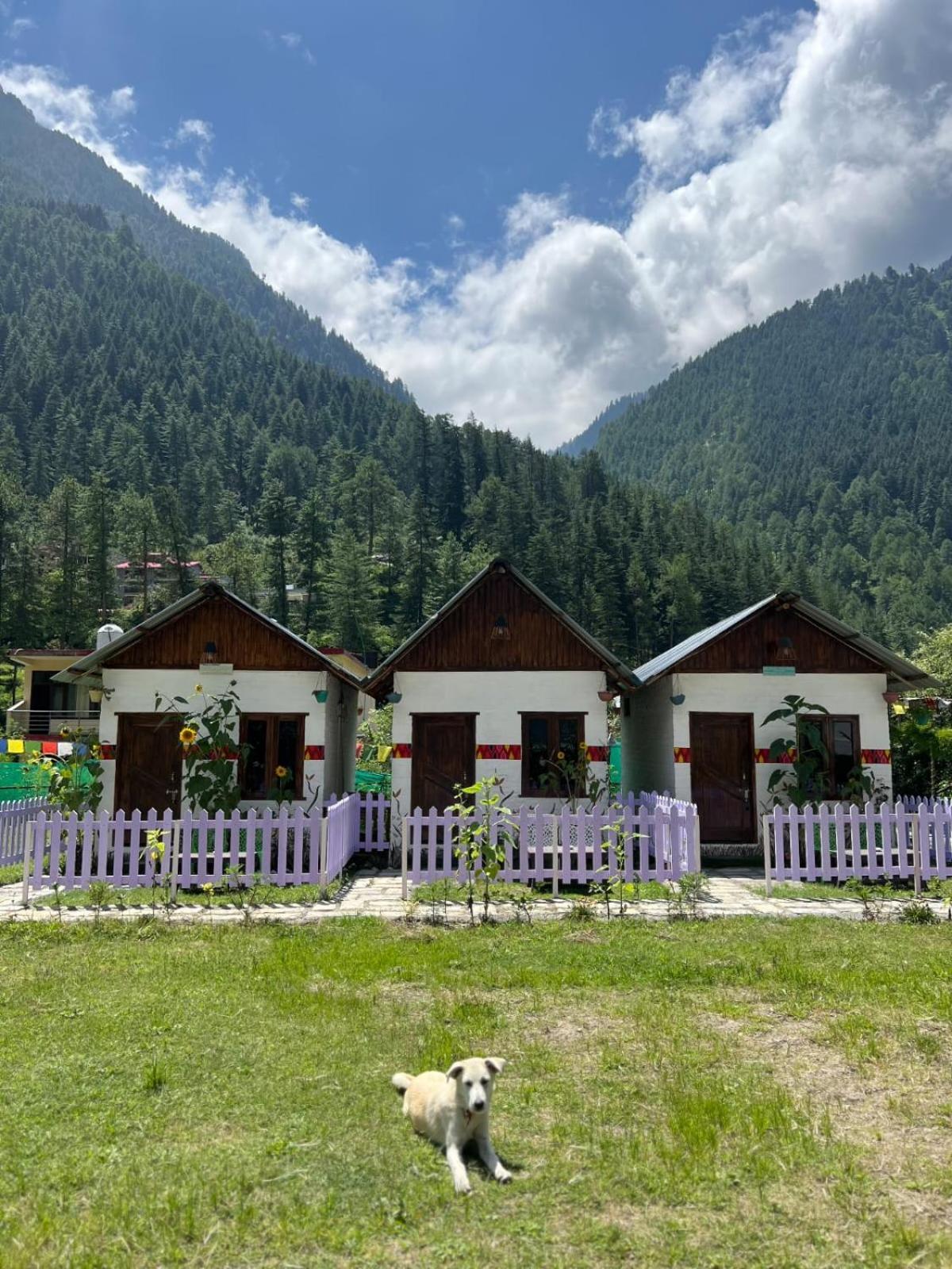 Himtrek Stay Kasol Exterior photo